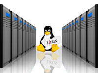 L. VPS Linux 4GB RAM
